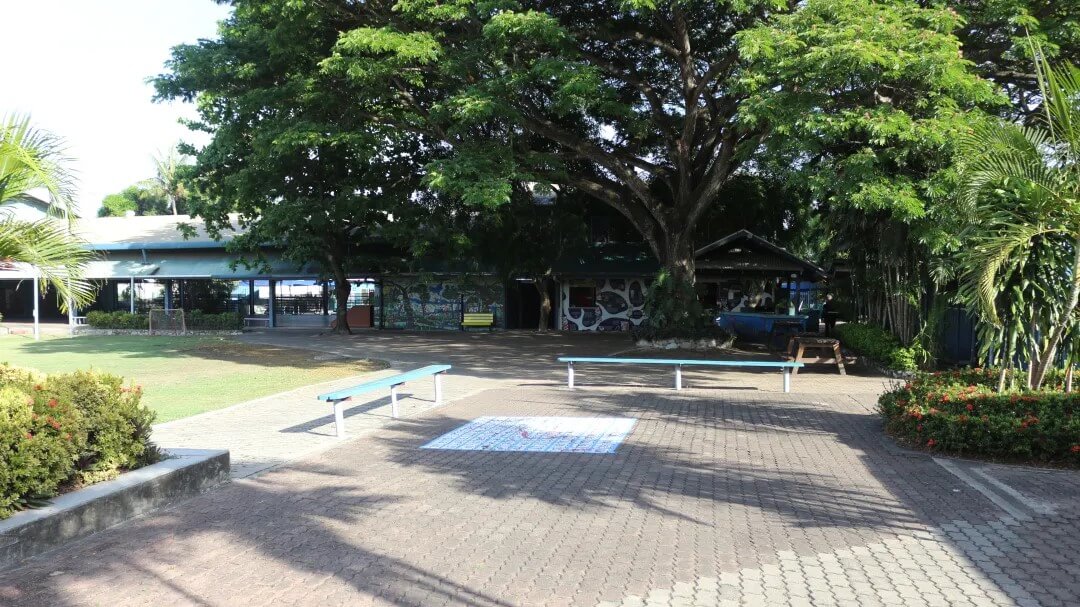 School image