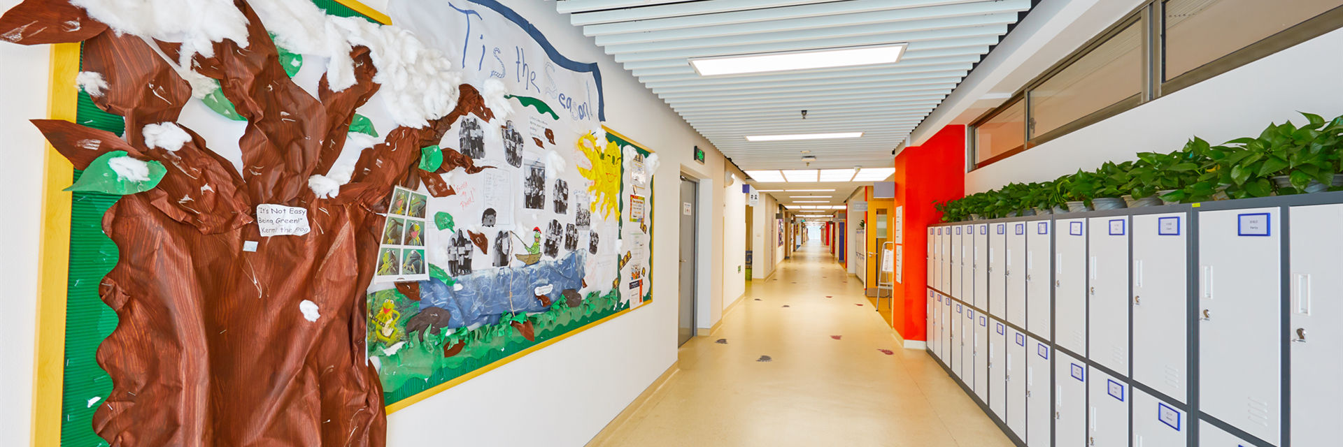 School image