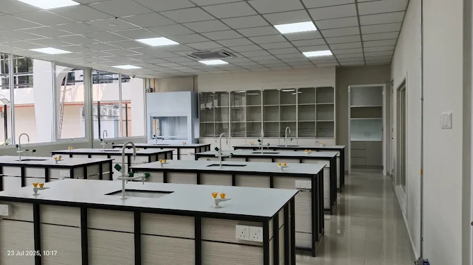 School image