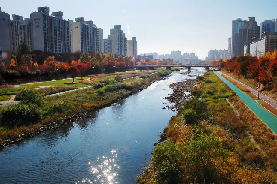 Job Post Banner KG / Elementary ESL Teacher - Korea